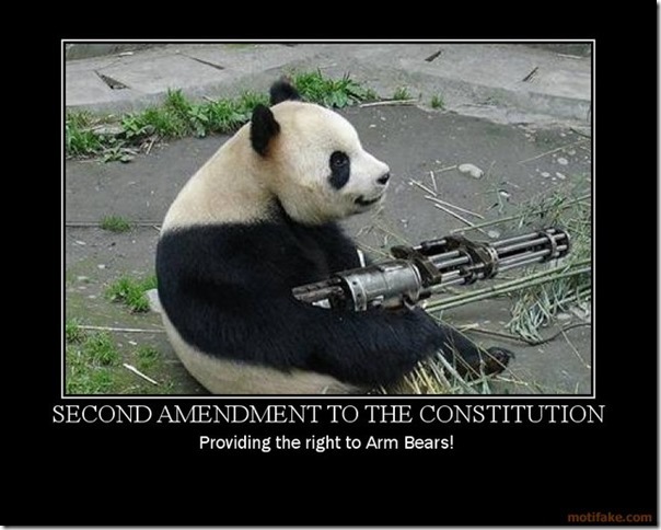 Second Amendment